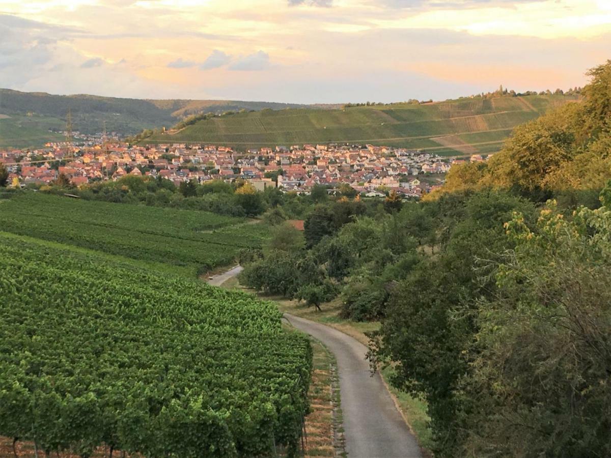 Ferienwohnungen Weinstadt Exterior foto